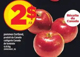 Maxi POMMES CORTLAND, DE FANTAISIE offer