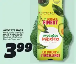IGA HASS AVOCADOS offer