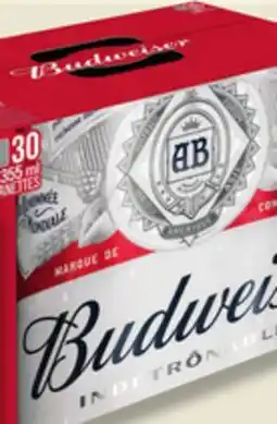 IGA BUDWEISER BEER offer