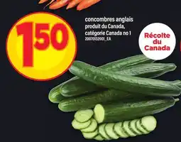 Maxi CONCOMBRES ANGLAIS offer