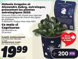 IGA ASTROLOGICAL PLANT offer