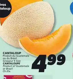 IGA CANTALOUPE offer