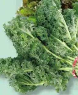 IGA GREEN KALE offer