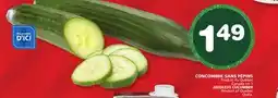 Marches Tradition SEEDLESS CUCUMBER offer