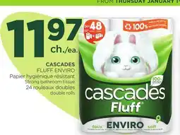 Proxim CASCADES FLUFF ENVIRO Strong bathroom tissue offer