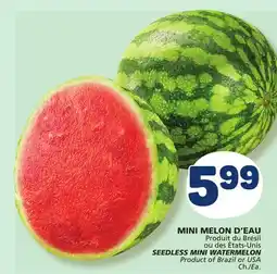 Marché Bonichoix SEEDLESS MINI WATERMELON offer