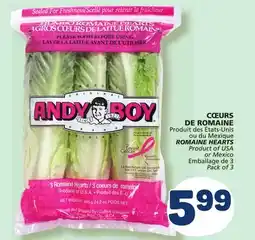 Marché Bonichoix ROMAINE HEARTS offer