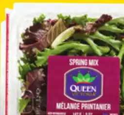 Giant Tiger Spring Mix offer