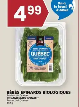 Rachelle-Bery Grocery ORGANIC BABY SPINACH offer