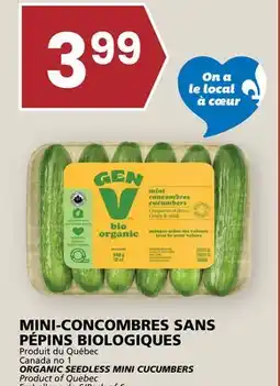 Rachelle-Bery Grocery ORGANIC SEEDLESS MINI CUCUMBERS offer
