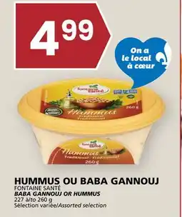 Rachelle-Bery Grocery FONTAINE SANTÉ BABA GANNOUJ OR HUMMUS offer