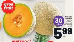 Metro TRÈS GROS CANTALOUP | JUMBO CANTALOUPE offer