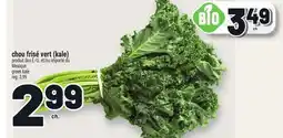 Metro CHOU FRISÉ VERT (KALE) | GREEN KALE offer
