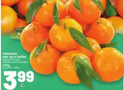 Metro CLÉMENTINES AVEC TIGE ET FEUILLES | CLEMENTINES WITH STEM AND LEAVES offer