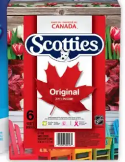 Brunet SCOTTIES Papiers mouchoirs sélectionnés offer