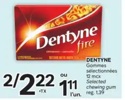 Brunet DENTYNE Gommes sélectionnées offer