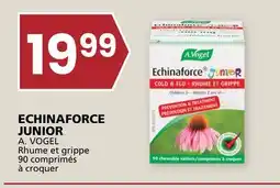 Rachelle-Bery Grocery ECHINAFORCE JUNIOR A. VOGEL offer