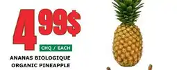 Marches Tau ANANAS BIOLOGIQUE offer