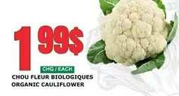 Marches Tau CHOU FLEUR BIOLOGIQUES offer