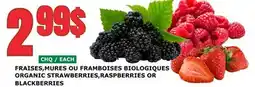 Marches Tau FRAISES, MURES OU FRAMBOISES BIOLOGIQUES offer