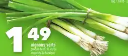 Marche Ami OIGNONS VERTS offer