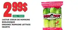 Marches Tau LAITUE COEUR DE ROMAINE BIOLOGIQUE offer