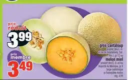 Super C GROS CANTALOUP | LARGE CANTALOUPE offer