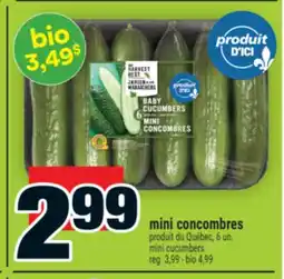 Super C MINI CUCUMBERS offer