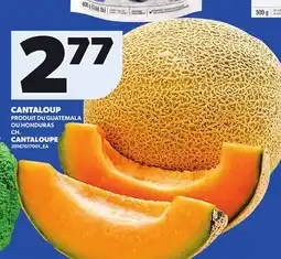 Provigo CANTALOUPE offer