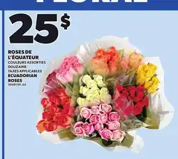 Provigo ECUADORIAN ROSES offer