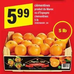Maxi CLEMENTINES offer