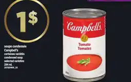 Maxi Campbell's Tomato Soup offer