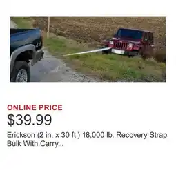 Costco Erickson (2 in. x 30 ft.) 18,000 lb. Recovery Strap Bulk With Carry Bag offer