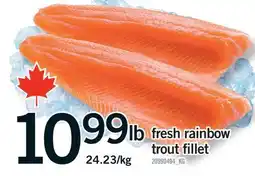Fortinos FRESH RAINBOW TROUT FILLET offer
