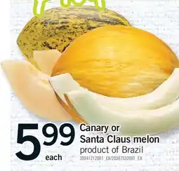 Fortinos Canary or Santa Claus melon offer