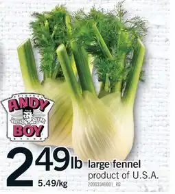 Fortinos LARGE FENNEL offer