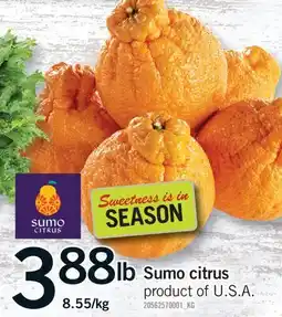 Fortinos SUMO CITRUS offer