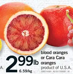 Fortinos BLOOD ORANGES OR CARA CARA ORANGES offer