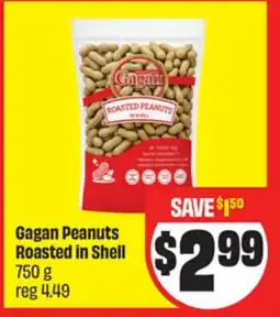 FreshCo Gagan Peanuts Roasted In Shell 750 g offer