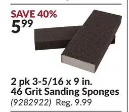 Princess Auto 3-5/16 x 9 in. 46 Grit Sanding Sponges offer