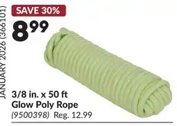 Princess Auto 3/8 in. x 50 ft Glow Poly Rope offer