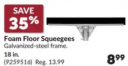 Princess Auto 18 in. Foam Floor Squeegees offer