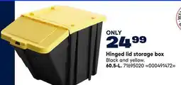 RONA Hinged lid storage box offer