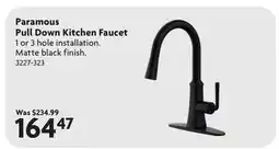 Home Hardware Paramous Pull Down Kitchen Faucet offer