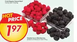Sobeys Raspberries or Blackberries offer
