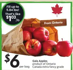 Sobeys Gala Apples offer