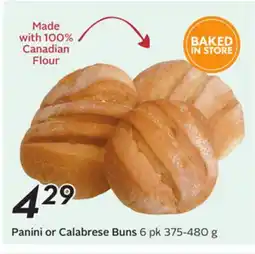 Sobeys Panini or Calabrese Buns offer