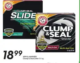 Sobeys ARM & HAMMER Clump & Seal Litter offer