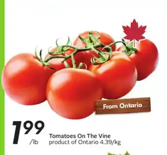 Sobeys Tomatoes On The Vine offer