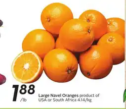 Sobeys Large Navel Oranges offer